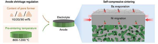 巧施“内力”攻克非对称陶瓷膜致密化难题 